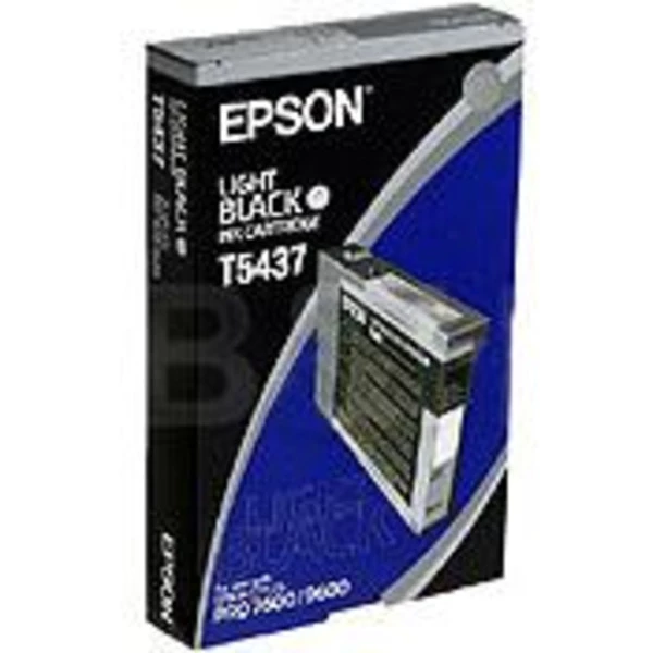 Картридж T543700 серый Epson (C13T543700)