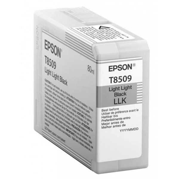 Картридж SC-P800 светло-серый Epson (C13T850900)